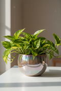 Iridescent Tegan Pot